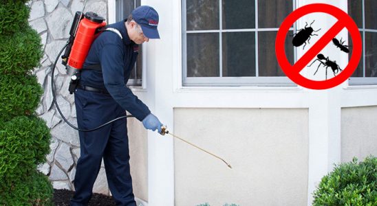 Çayırlı Gümüşkurt İlaçlama böcek ilaçlama ve haşere kontrolü — ilaclama-tr.com